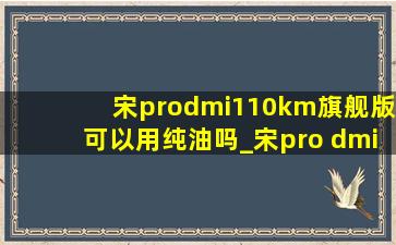 宋prodmi110km旗舰版可以用纯油吗_宋pro dmi 110km旗舰版落地价
